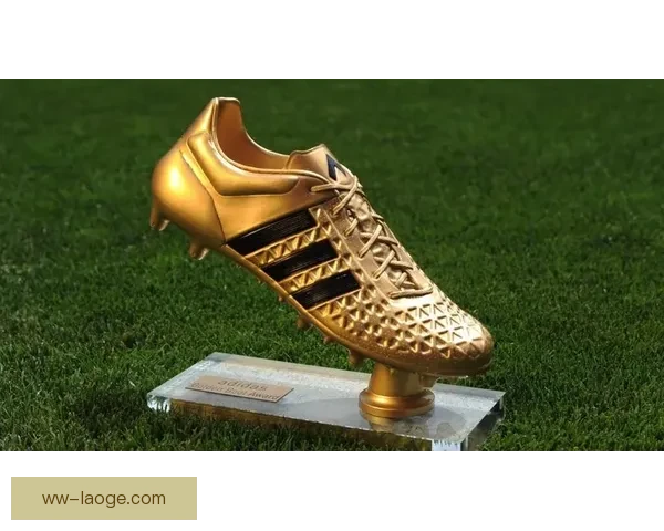 2024欧洲杯金靴由凯恩奥尔莫等球星共同摘得